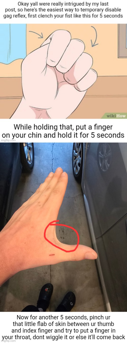 Okay since yall asked, this basically tricks ur mind into forgetting abt your gag reflex for a bit | Now for another 5 seconds, pinch ur that little flab of skin between ur thumb and index finger and try to put a finger in your throat, dont wiggle it or else it'll come back | made w/ Imgflip meme maker
