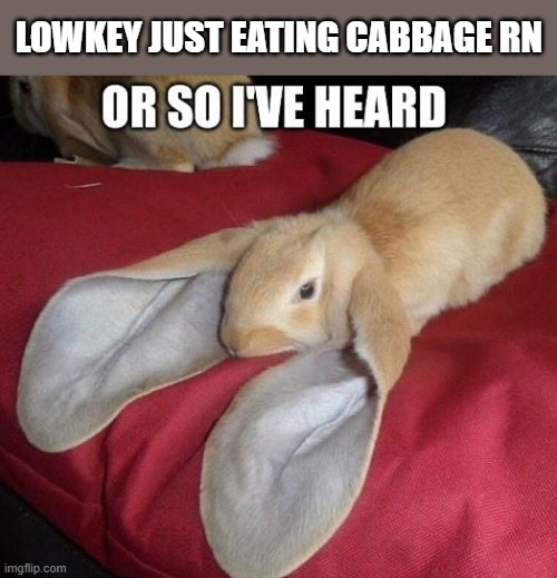 guh | LOWKEY JUST EATING CABBAGE RN | image tagged in or so i've heard | made w/ Imgflip meme maker