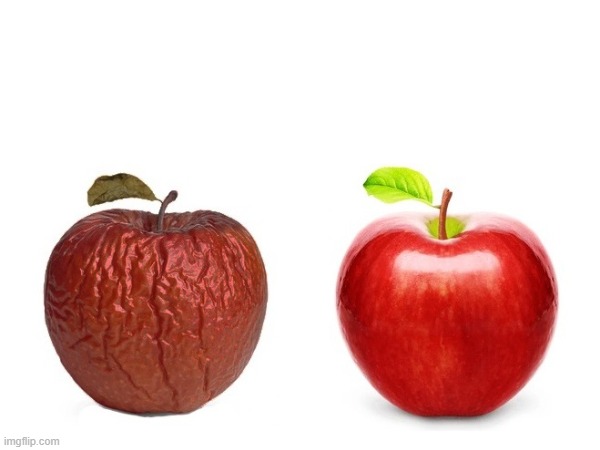 comparison apples | image tagged in comparison,apple,before and after | made w/ Imgflip meme maker