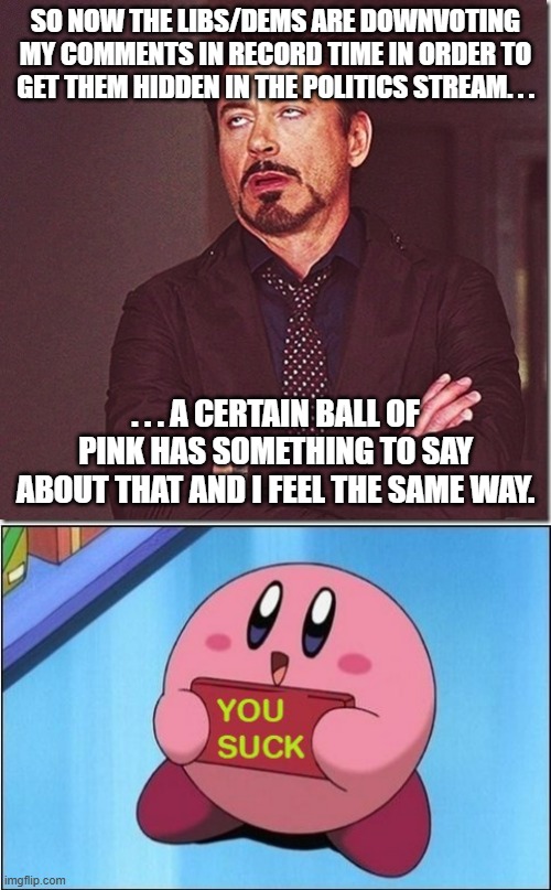 SO NOW THE LIBS/DEMS ARE DOWNVOTING MY COMMENTS IN RECORD TIME IN ORDER TO GET THEM HIDDEN IN THE POLITICS STREAM. . . . . . A CERTAIN BALL OF PINK HAS SOMETHING TO SAY ABOUT THAT AND I FEEL THE SAME WAY. | image tagged in robert downy jr meme eye roll,kirby says you suck | made w/ Imgflip meme maker