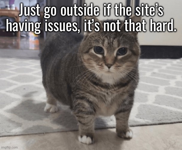 It’s literally summer (for the northern hemisphere). You could be doing anything else right now. | Just go outside if the site’s having issues, it’s not that hard. | made w/ Imgflip meme maker