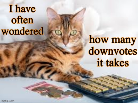 I have often wondered how many downvotes it takes | made w/ Imgflip meme maker