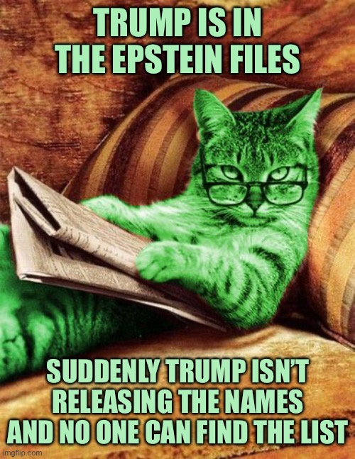 Factual RayCat | TRUMP IS IN THE EPSTEIN FILES; SUDDENLY TRUMP ISN’T RELEASING THE NAMES AND NO ONE CAN FIND THE LIST | image tagged in factual raycat | made w/ Imgflip meme maker
