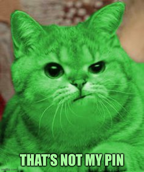 RayCat Annoyed | THAT’S NOT MY PIN | image tagged in raycat annoyed | made w/ Imgflip meme maker