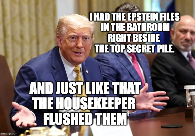 House keeper flushed them | I HAD THE EPSTEIN FILES
 IN THE BATHROOM
RIGHT BESIDE 
THE TOP SECRET PILE. AND JUST LIKE THAT
THE HOUSEKEEPER 
FLUSHED THEM | image tagged in and just like that they just disappeared | made w/ Imgflip meme maker
