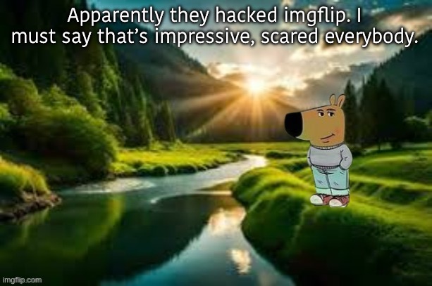 chill guy | Apparently they hacked imgflip. I must say that’s impressive, scared everybody. | image tagged in chill guy | made w/ Imgflip meme maker