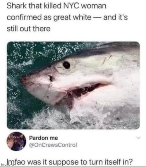 It's still out there | image tagged in memes,great white shark,still out there | made w/ Imgflip meme maker