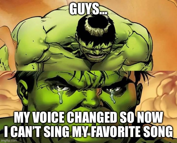 :( | GUYS…; MY VOICE CHANGED SO NOW I CAN’T SING MY FAVORITE SONG | image tagged in crying hulk,music,puberty | made w/ Imgflip meme maker