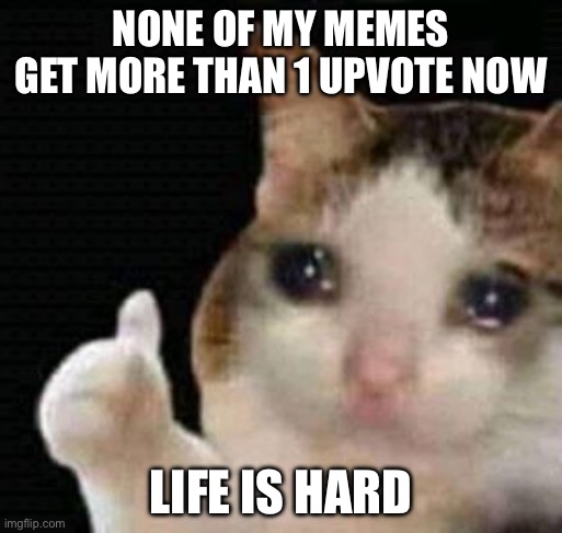 Sadness | NONE OF MY MEMES GET MORE THAN 1 UPVOTE NOW; LIFE IS HARD | image tagged in sad thumbs up cat,upvotes,sad | made w/ Imgflip meme maker