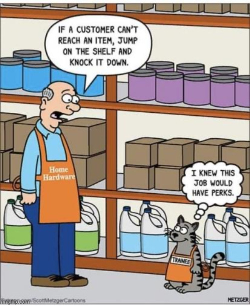 Job perks | image tagged in repost,job perks | made w/ Imgflip meme maker