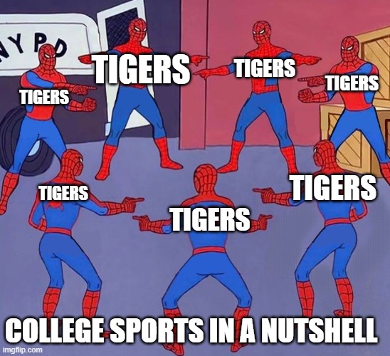 7 Spider-Men Pointing Meme | TIGERS; TIGERS; TIGERS; TIGERS; TIGERS; TIGERS; TIGERS; COLLEGE SPORTS IN A NUTSHELL | image tagged in 7 spider-men pointing meme | made w/ Imgflip meme maker