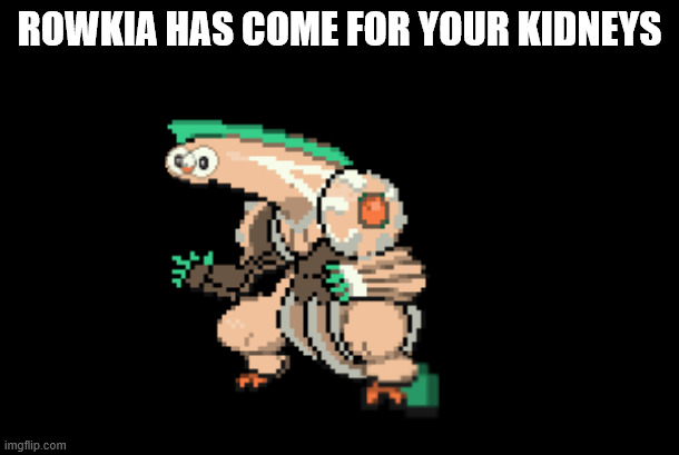 rowkia is here, kill it... | ROWKIA HAS COME FOR YOUR KIDNEYS | image tagged in pokemon,palkia,rowlet meme template | made w/ Imgflip meme maker