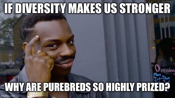 Roll Safe Think About It | IF DIVERSITY MAKES US STRONGER; WHY ARE PUREBREDS SO HIGHLY PRIZED? | image tagged in memes,roll safe think about it | made w/ Imgflip meme maker