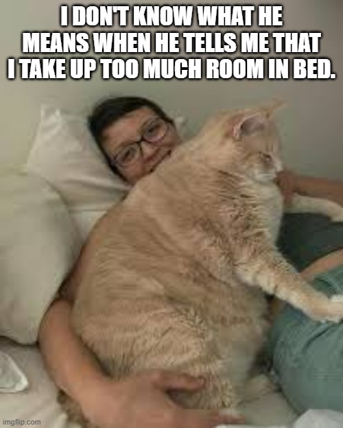 I don't know what he means when he says I take up too much room in bed. | I DON'T KNOW WHAT HE MEANS WHEN HE TELLS ME THAT I TAKE UP TOO MUCH ROOM IN BED. | image tagged in cats,funny,kittens,fat cat,humor | made w/ Imgflip meme maker