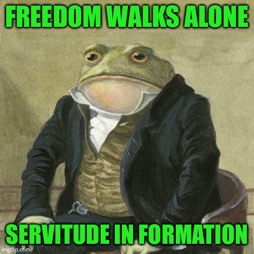Gentlemen, it is with great pleasure to inform you that | FREEDOM WALKS ALONE; SERVITUDE IN FORMATION | image tagged in gentlemen it is with great pleasure to inform you that | made w/ Imgflip meme maker