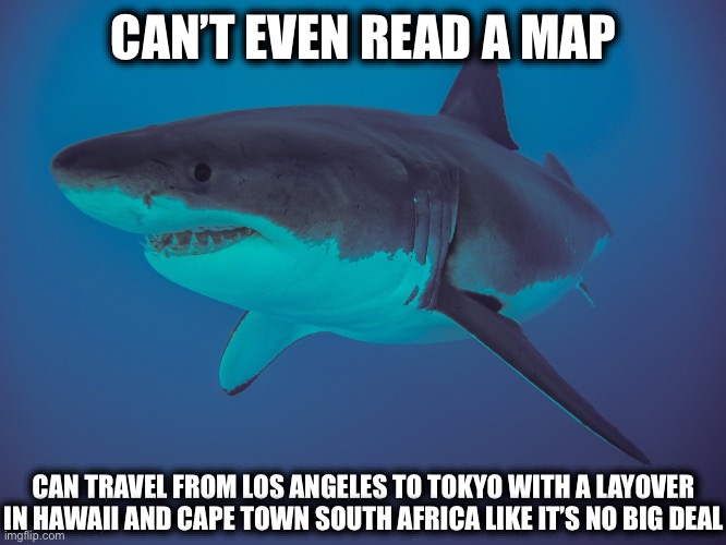 CAN’T EVEN READ A MAP; CAN TRAVEL FROM LOS ANGELES TO TOKYO WITH A LAYOVER IN HAWAII AND CAPE TOWN SOUTH AFRICA LIKE IT’S NO BIG DEAL | image tagged in shark,gps,technology | made w/ Imgflip meme maker