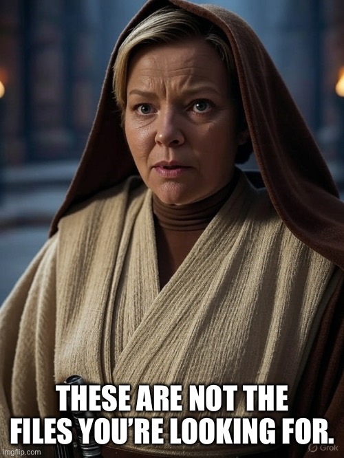 Obi wan bondi | THESE ARE NOT THE FILES YOU’RE LOOKING FOR. | image tagged in obi wan bondi | made w/ Imgflip meme maker