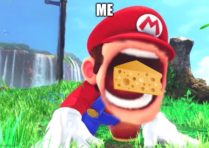 Me | ME | image tagged in mario screaming,cheese | made w/ Imgflip meme maker