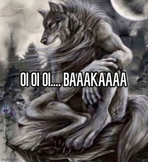 No one messes with the alpha | made w/ Imgflip meme maker