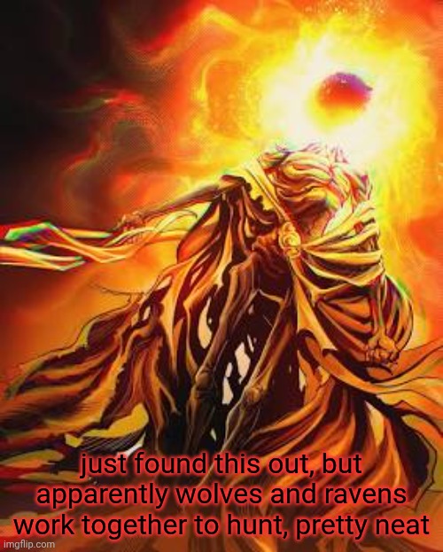 never knew that but it's cool | just found this out, but apparently wolves and ravens work together to hunt, pretty neat | image tagged in midra lord of frenzy flame | made w/ Imgflip meme maker