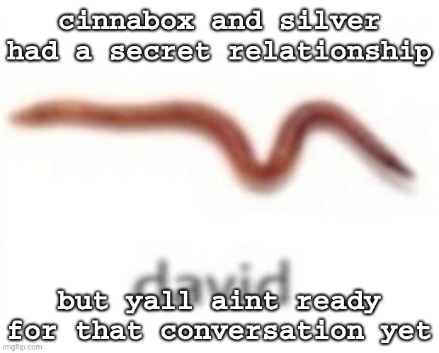david | cinnabox and silver had a secret relationship; but yall aint ready for that conversation yet | image tagged in david | made w/ Imgflip meme maker
