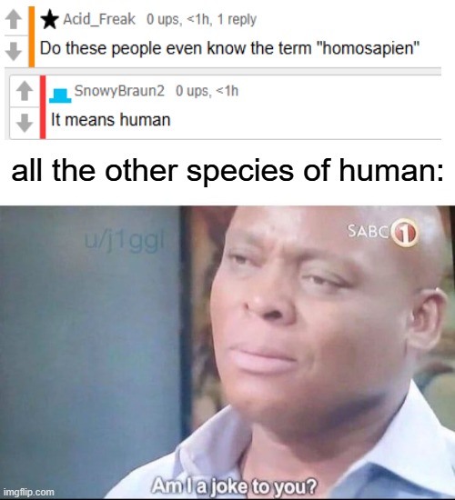 human | all the other species of human: | image tagged in am i a joke to you | made w/ Imgflip meme maker