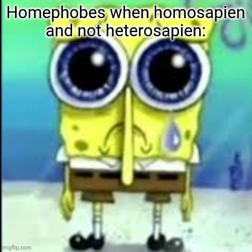 spunch bop sad | Homephobes when homosapien and not heterosapien: | image tagged in spunch bop sad | made w/ Imgflip meme maker