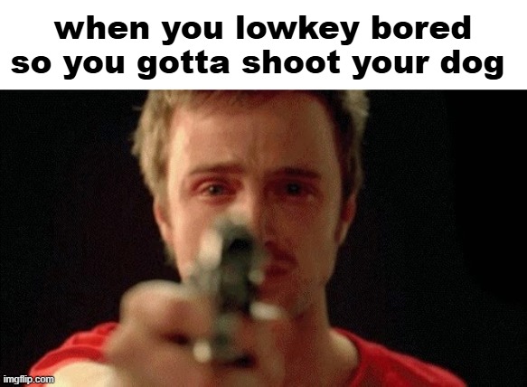 on EVERYONE SOUL (except mine) we all did ts once | when you lowkey bored so you gotta shoot your dog | image tagged in jesse pinkman pointing gun,memes,funny,dog,relatable | made w/ Imgflip meme maker