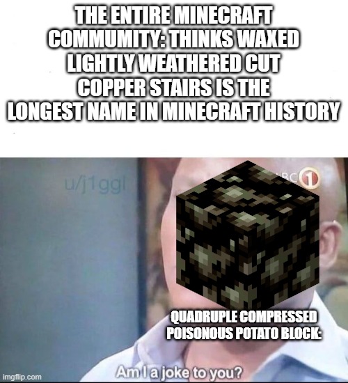 neither of them were ever added to an official minecraft update so i guess lingering potion of the turtle master still wins | THE ENTIRE MINECRAFT COMMUMITY: THINKS WAXED LIGHTLY WEATHERED CUT COPPER STAIRS IS THE LONGEST NAME IN MINECRAFT HISTORY; QUADRUPLE COMPRESSED POISONOUS POTATO BLOCK: | image tagged in am i a joke to you,minecraft,long,names | made w/ Imgflip meme maker