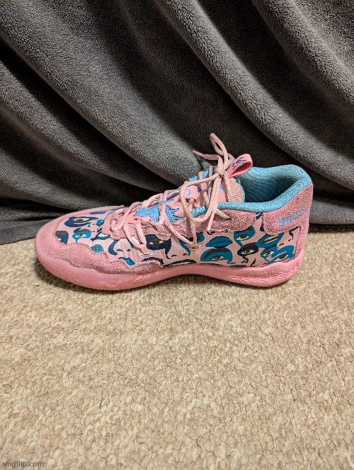 melos I got | image tagged in lamelo ball,shoes,basketball | made w/ Imgflip meme maker