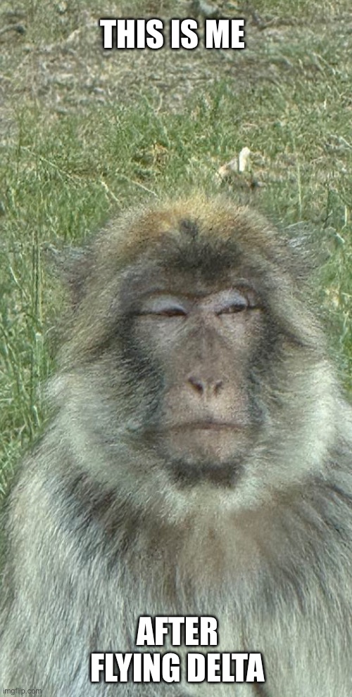 Unhappy Monkkey | THIS IS ME; AFTER FLYING DELTA | image tagged in unhappy,monkey,monkkey,disappointment | made w/ Imgflip meme maker