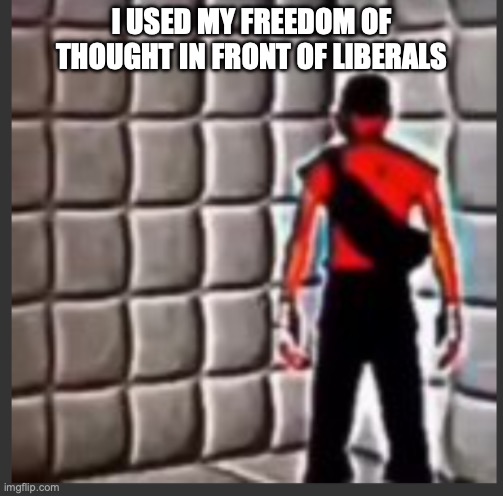 Scout goes insane | I USED MY FREEDOM OF THOUGHT IN FRONT OF LIBERALS | image tagged in scout goes insane | made w/ Imgflip meme maker