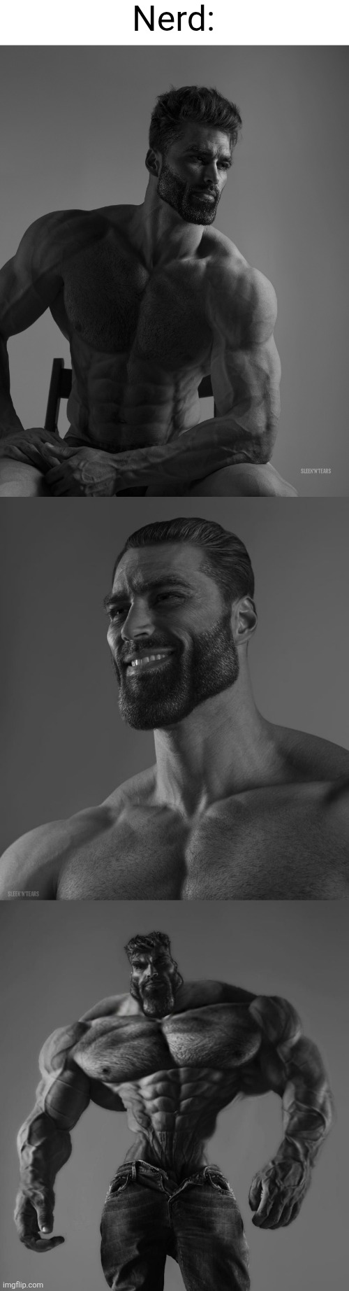 Nerd: | image tagged in giga chad,gigachad | made w/ Imgflip meme maker