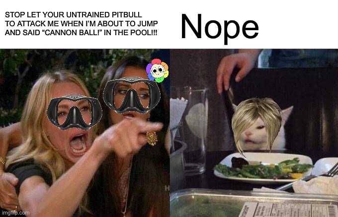 Bro she has CYNOPHOBIA | STOP LET YOUR UNTRAINED PITBULL TO ATTACK ME WHEN I’M ABOUT TO JUMP AND SAID “CANNON BALL!” IN THE POOL!!! Nope | image tagged in memes,woman yelling at cat,pool,summer time | made w/ Imgflip meme maker