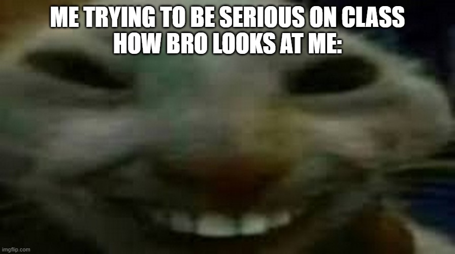 smile | ME TRYING TO BE SERIOUS ON CLASS
HOW BRO LOOKS AT ME: | image tagged in goofy ahh smiling cat | made w/ Imgflip meme maker