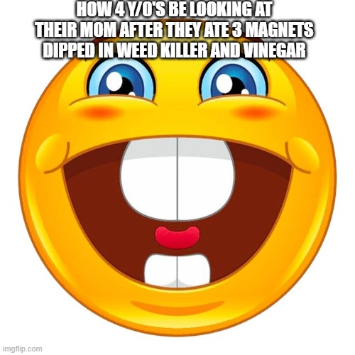 Four year olds are smth else | HOW 4 Y/O'S BE LOOKING AT THEIR MOM AFTER THEY ATE 3 MAGNETS DIPPED IN WEED KILLER AND VINEGAR | image tagged in funny meme | made w/ Imgflip meme maker