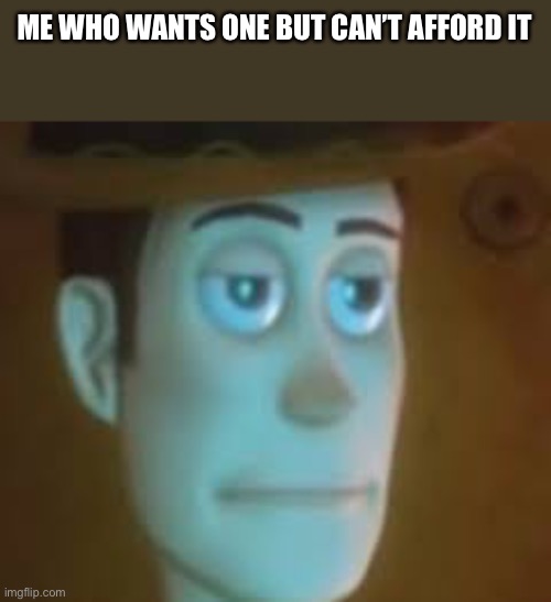 ME WHO WANTS ONE BUT CAN’T AFFORD IT | image tagged in dissapointed woody | made w/ Imgflip meme maker