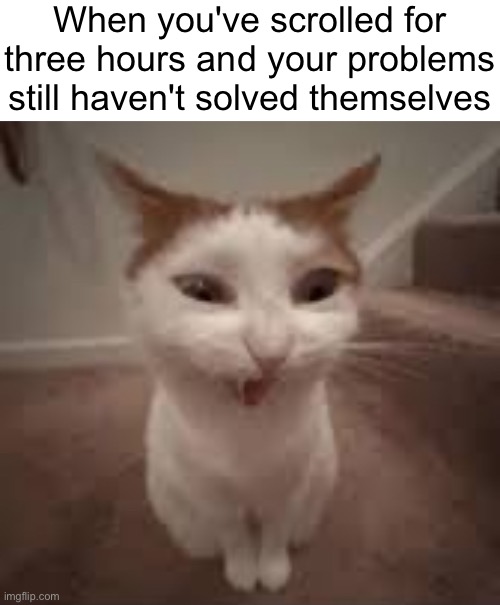 Silly Cat | When you've scrolled for three hours and your problems still haven't solved themselves | image tagged in memes,funny,cats,funny cats,lazy | made w/ Imgflip meme maker