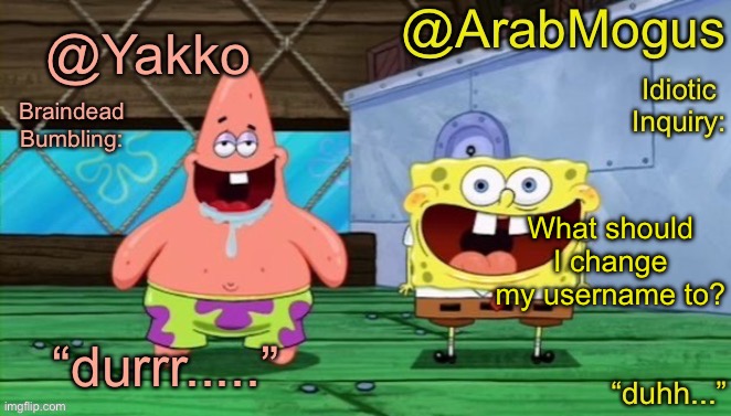 Yakko and ArabMogus’s shared temp | What should I change my username to? | image tagged in yakko and arabmogus s shared temp | made w/ Imgflip meme maker