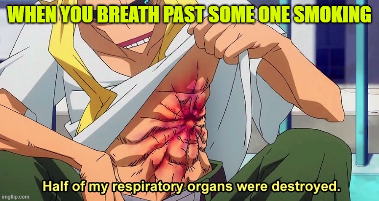 Half of my respiratory organs were destroyed | WHEN YOU BREATH PAST SOME ONE SMOKING | image tagged in half of my respiratory organs were destroyed | made w/ Imgflip meme maker