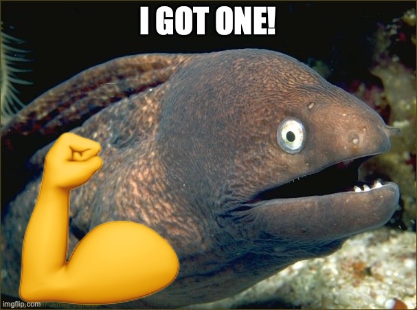 I GOT ONE! | image tagged in bad joke eel | made w/ Imgflip meme maker