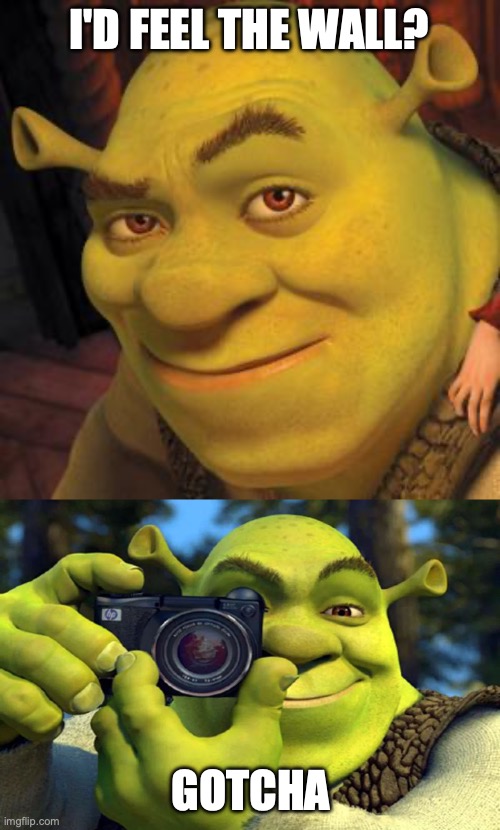 I'D FEEL THE WALL? GOTCHA | image tagged in shrek sexy face,shrek caught in 4k | made w/ Imgflip meme maker