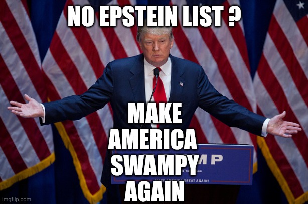 Losing voters to Elon as we speak | NO EPSTEIN LIST ? MAKE
AMERICA 
SWAMPY
AGAIN | image tagged in donald trump | made w/ Imgflip meme maker