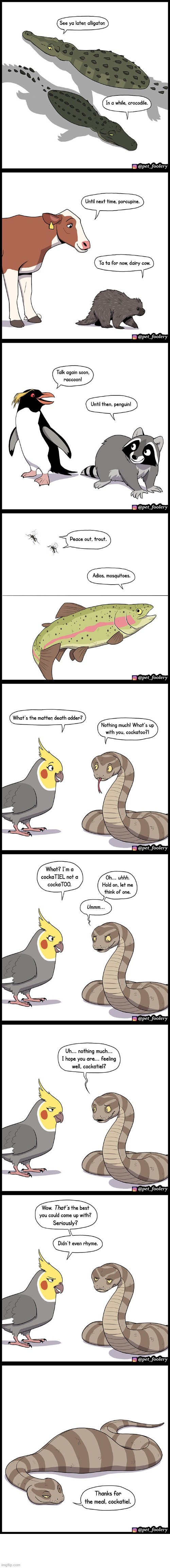image tagged in animals,goodbye,rhymes,snake,bird,meal | made w/ Imgflip meme maker