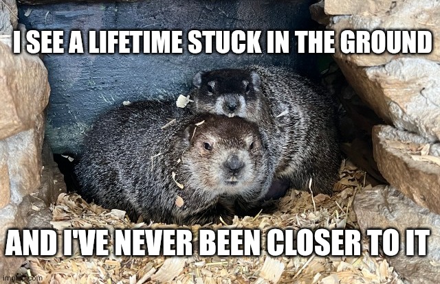 Punxsutawney Phil is a Little Liar | I SEE A LIFETIME STUCK IN THE GROUND; AND I'VE NEVER BEEN CLOSER TO IT | image tagged in groundhog,groundhog day,bill murray groundhog day,punxsutawney phil,phil,statues of men | made w/ Imgflip meme maker