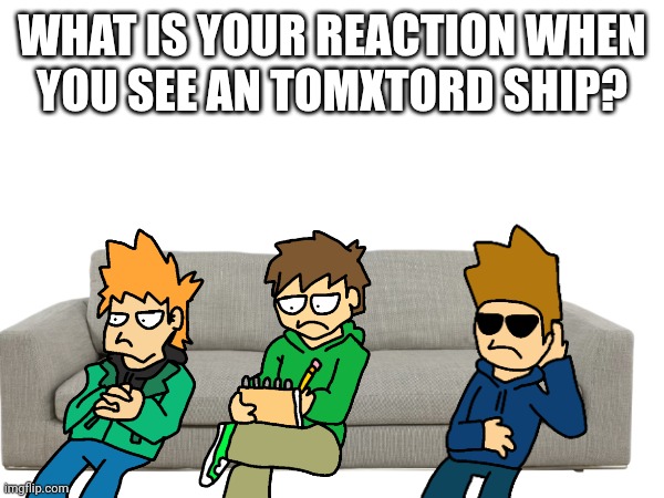 I wonder how your opinions are | WHAT IS YOUR REACTION WHEN
YOU SEE AN TOMXTORD SHIP? | image tagged in eddsworld | made w/ Imgflip meme maker
