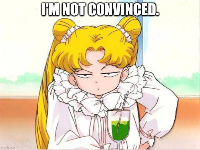 Heh. | I'M NOT CONVINCED. | image tagged in funny,funny memes,sailor moon | made w/ Imgflip meme maker