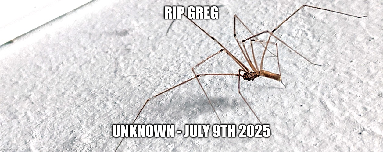 RIP GREG UNKNOWN - JULY 9TH 2025 | made w/ Imgflip meme maker