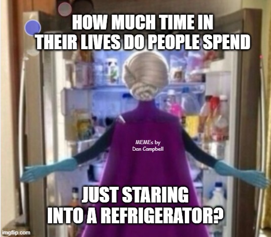 elsa opening a door | HOW MUCH TIME IN THEIR LIVES DO PEOPLE SPEND; MEMEs by Dan Campbell; JUST STARING INTO A REFRIGERATOR? | image tagged in elsa opening a door | made w/ Imgflip meme maker