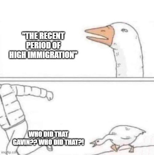 Goose Chase | "THE RECENT PERIOD OF HIGH IMMIGRATION"; WHO DID THAT GAVIN?? WHO DID THAT?! | image tagged in goose chase | made w/ Imgflip meme maker